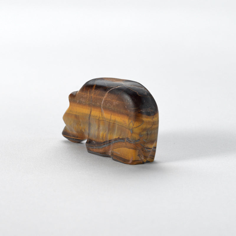 Kenny Chavez: Tiger Eye, Bear