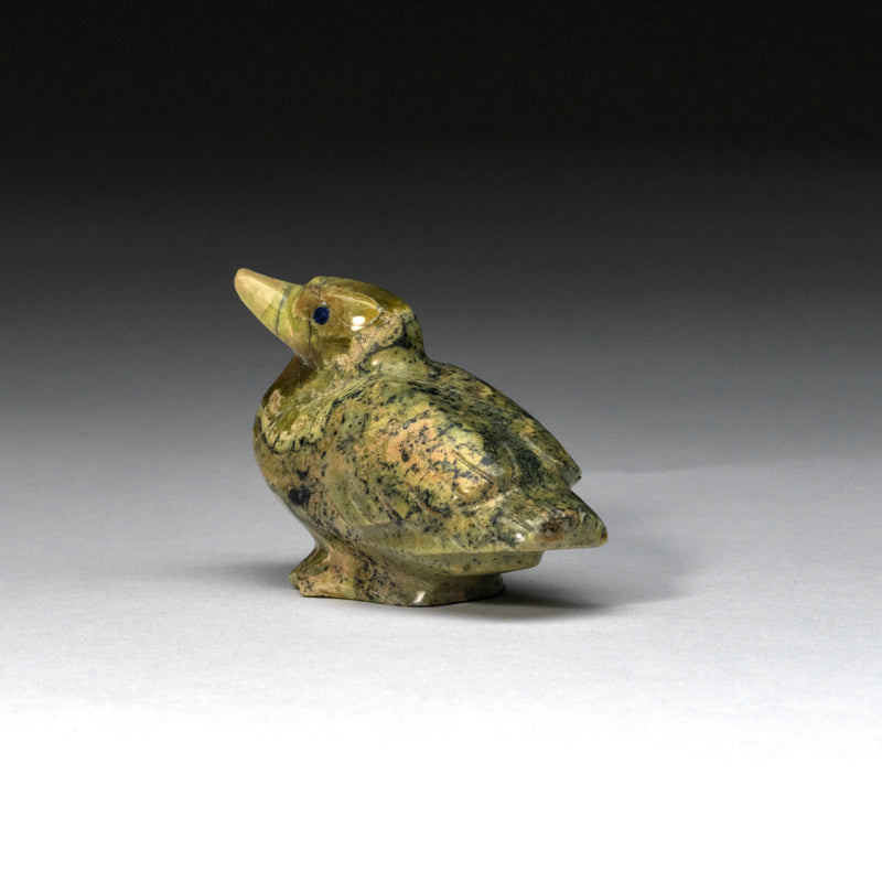 Gibbs Othole: Serpentine, Duck