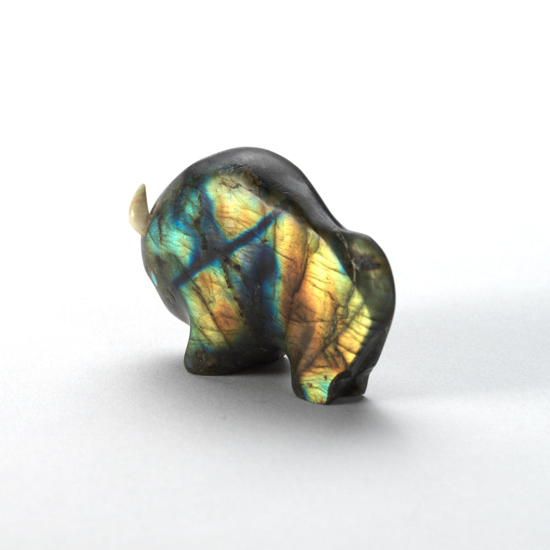 Lynn Quam: Labradorite, Bison