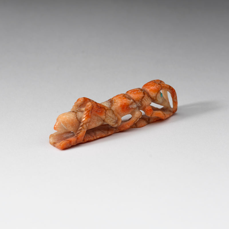 Derrick Kaamasee: Apple Coral, Grasshopper