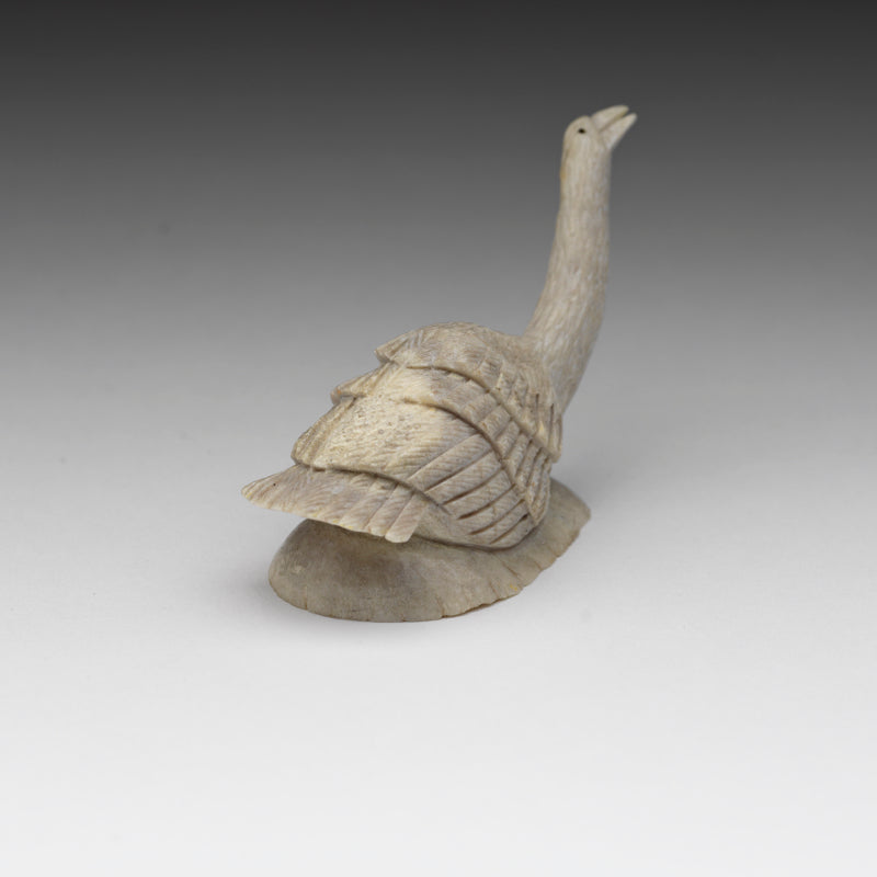 Ruben Najera: Antler, Goose