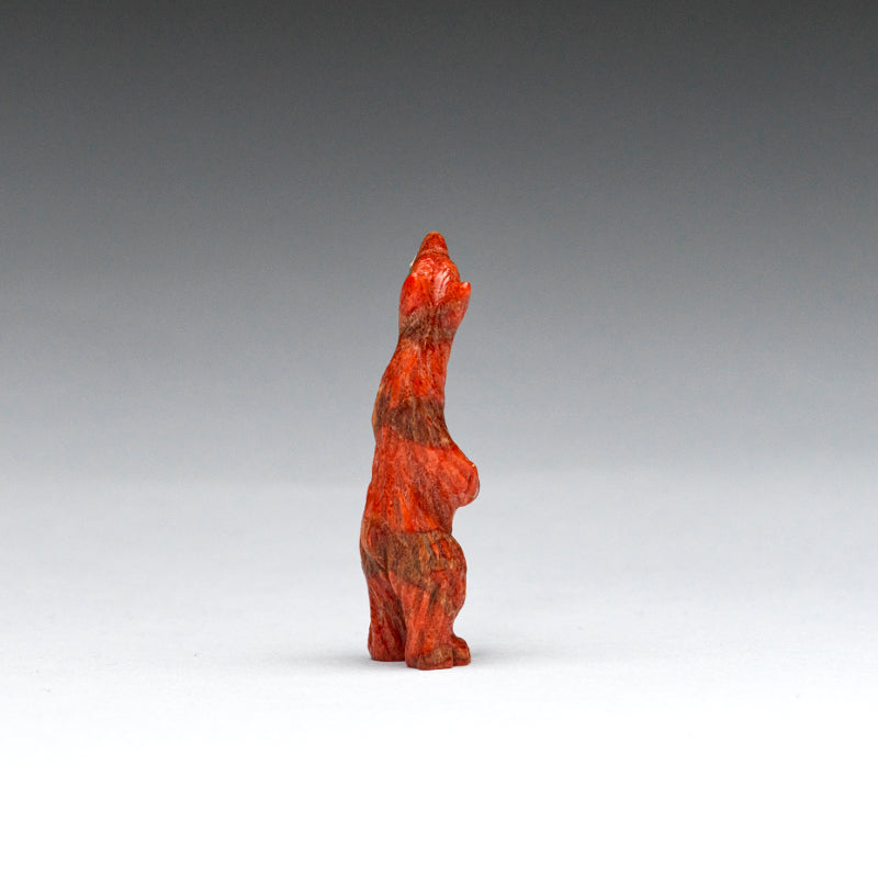 Andres Quandelacy (d): Apple coral, Standing Bear