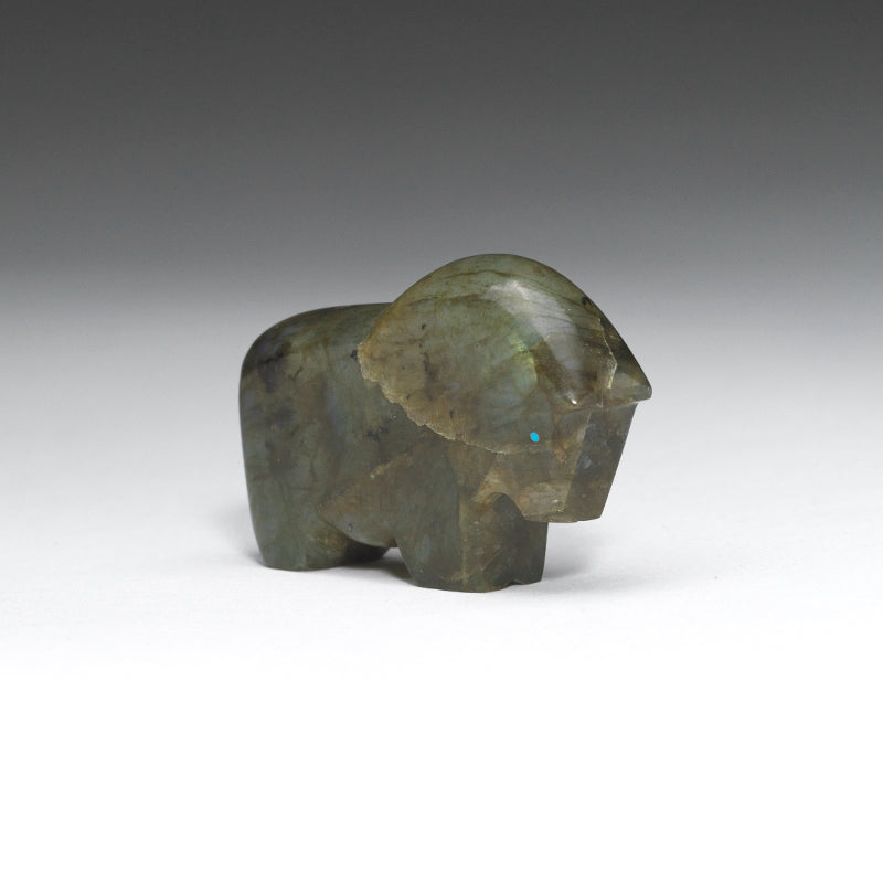 Clayton & Abby Panteah: Labradorite, Horse