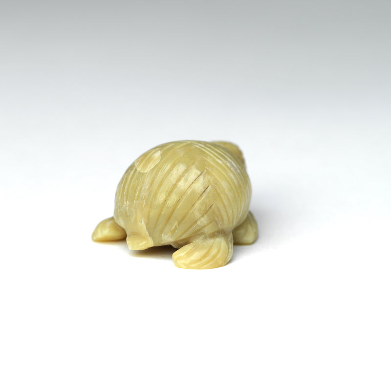 Karen Zunie: Serpentine, Turtle
