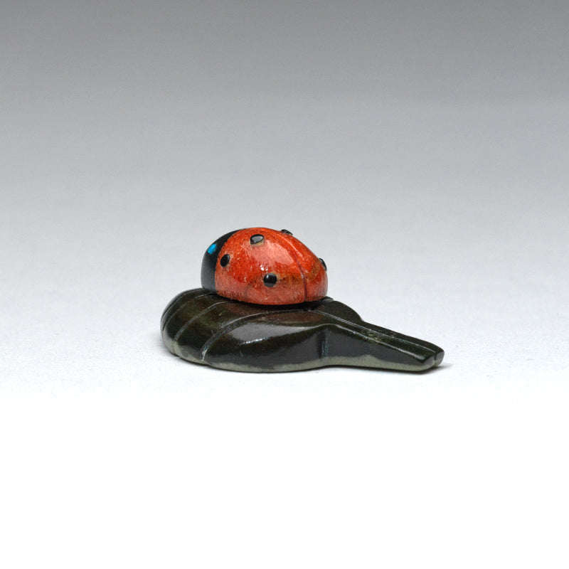 Georgette Quam: Apple coral And Black Jet, Ladybug