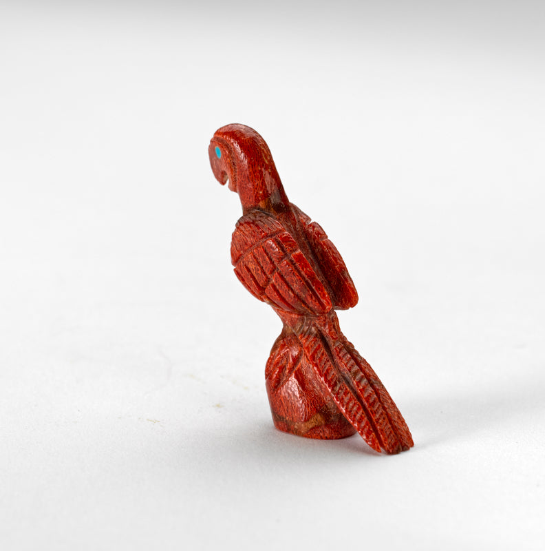 Hiram Peynetsa: Apple coral, Parrot