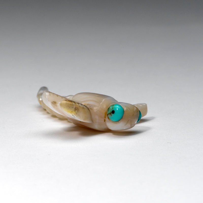 Justin Red Elk: Mother of Pearl, Dragonfly