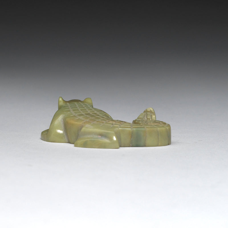 Kenny Chavez: Serpentine, Alligator