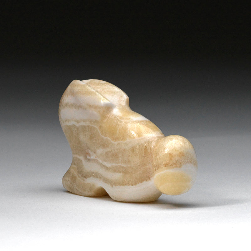 Rick Quam: Calcite, Rabbit