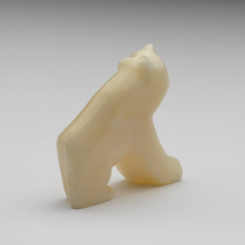 Dee Edaakie: Ivory Stone, Bear