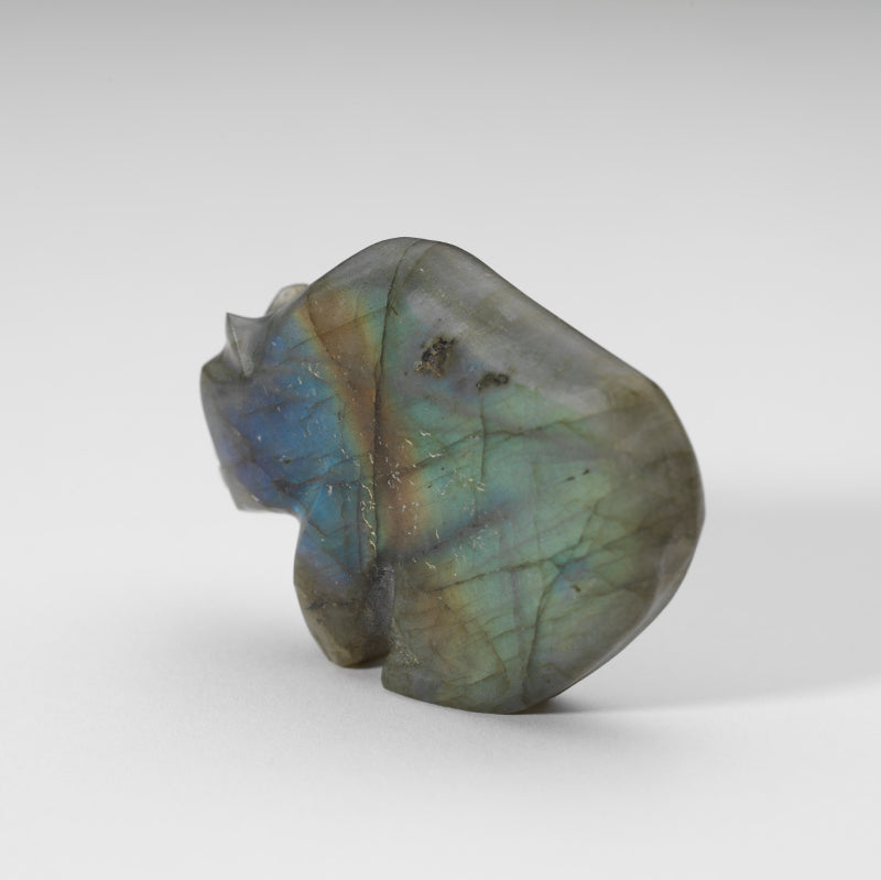 Dee Edaakie: Labradorite, Bear