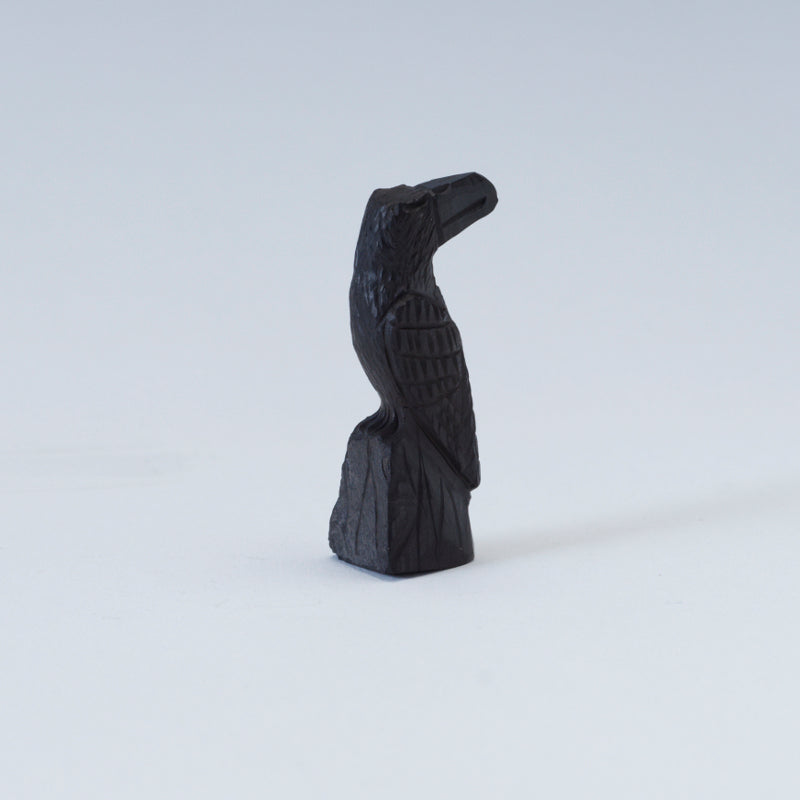 Christopher Peina: Black Jet, Raven On Stump