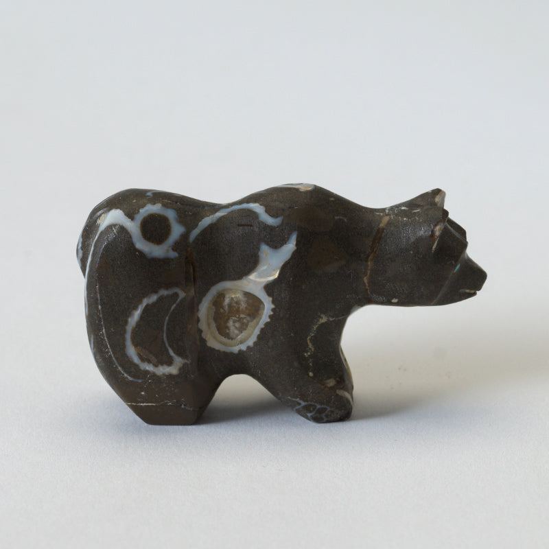 Andrew (d) & Laura Quam: Fossil Stone, Bear