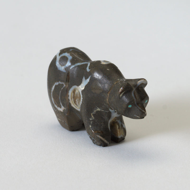 Andrew (d) & Laura Quam: Fossil Stone, Bear