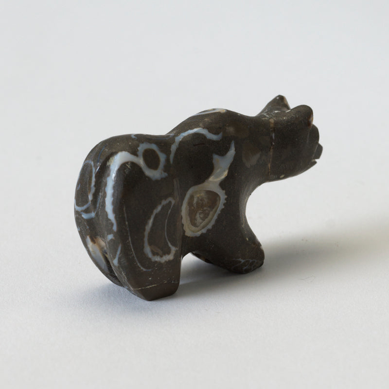 Andrew (d) & Laura Quam: Fossil Stone, Bear