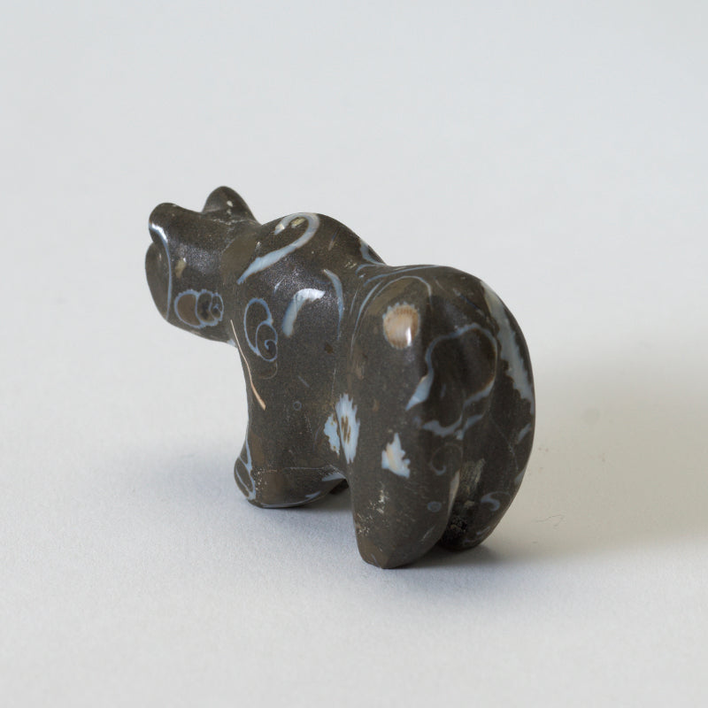 Andrew (d) & Laura Quam: Fossil Stone, Bear