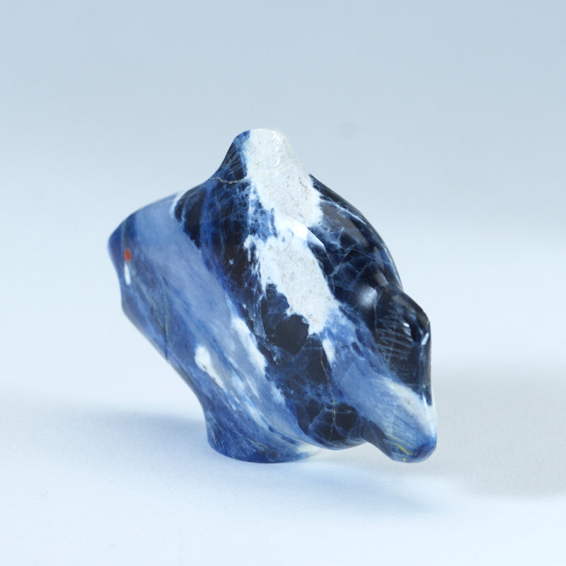 Leland Boone & Daphne Quam: Sodalite, Fish