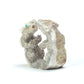 Christopher Peina: Antler, Double Bear