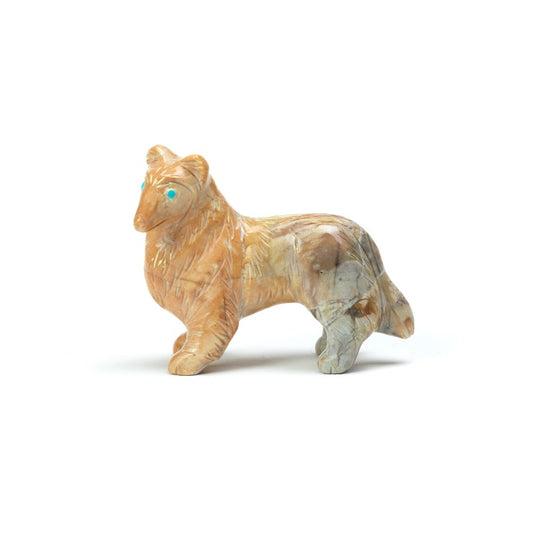 Cody Nastacio: Picasso, Collie