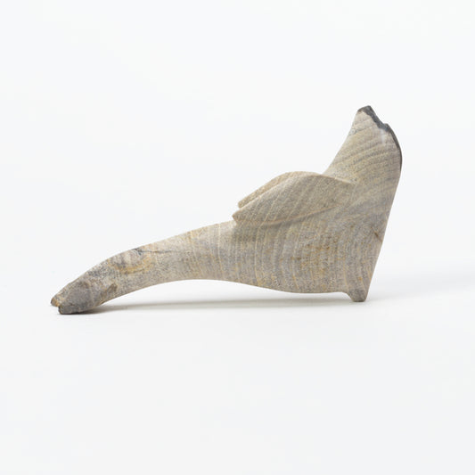 Melvin Sandoval: Petrified Wood, Dolphin