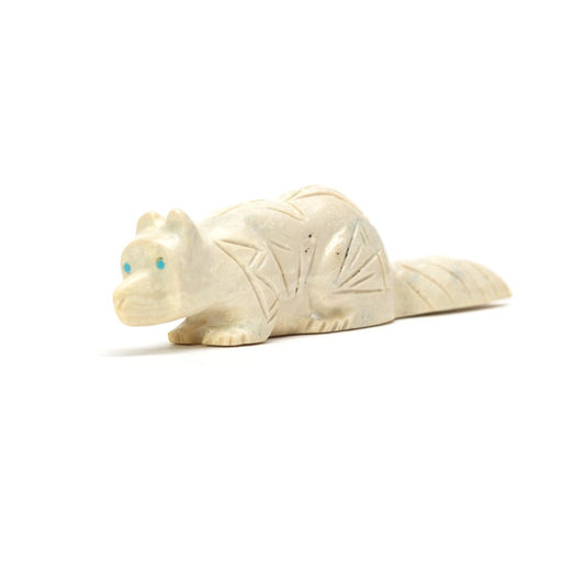 Adrian Cachini: Fishrock, Coyote