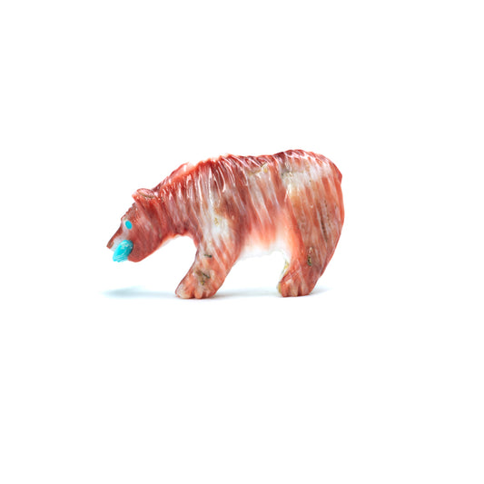 Andres Quandelacy (d): Spiney Oyster, Bear With Turquoise Fish