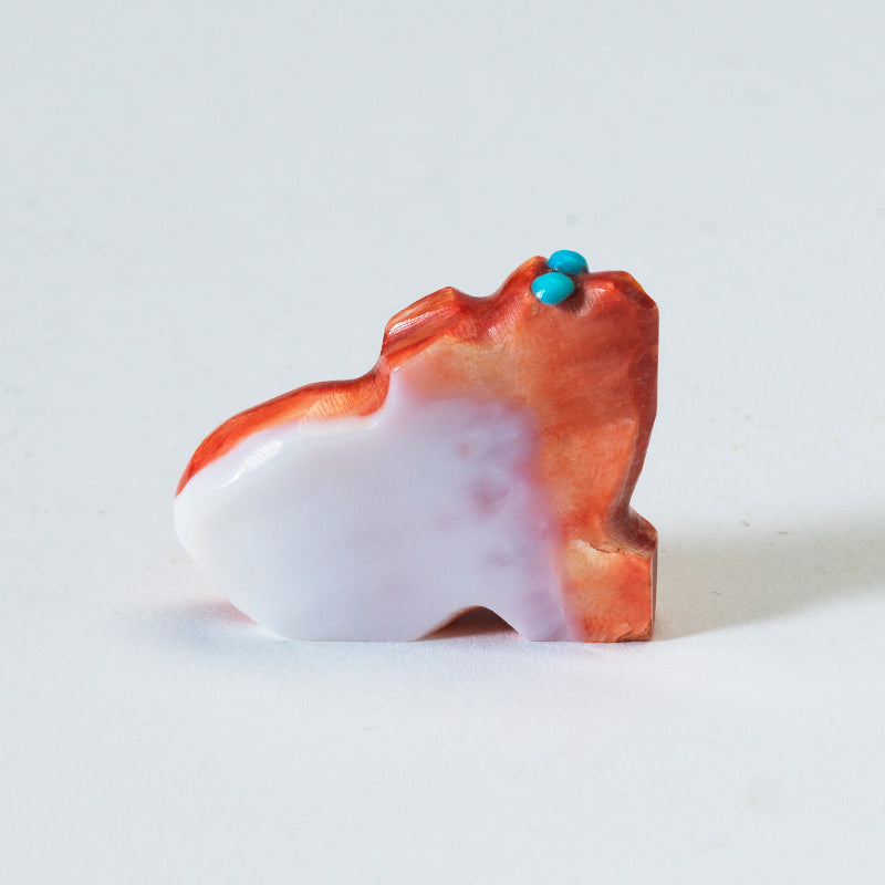 James Panteah: Spiny Oyster, Bear