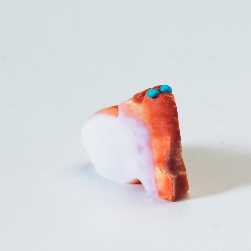 James Panteah: Spiny Oyster, Bear