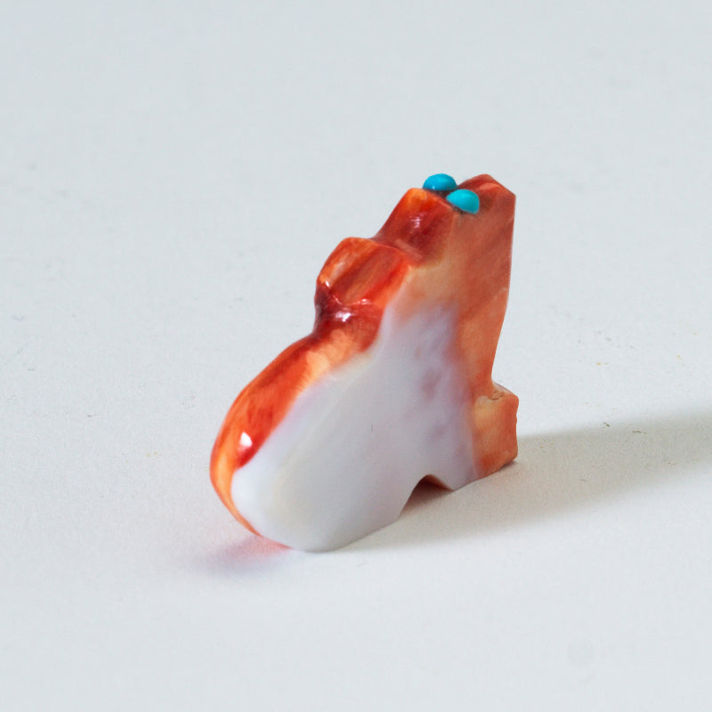 James Panteah: Spiny Oyster, Bear