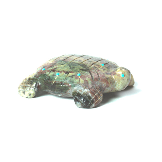 Alex Poncho: Colorful Serpentine, Turtle