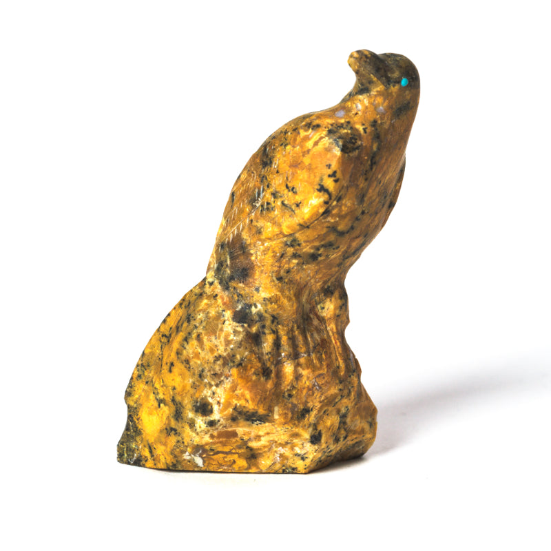 Derrick Kaamasee: Canary Bird