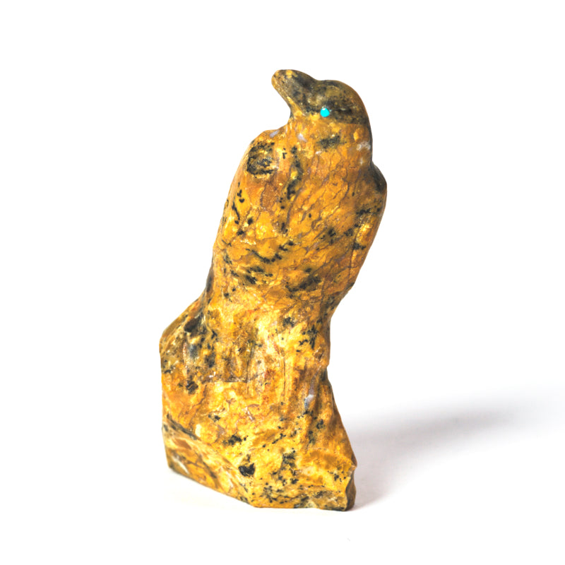 Derrick Kaamasee: Canary Bird