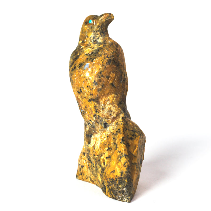 Derrick Kaamasee: Canary Bird