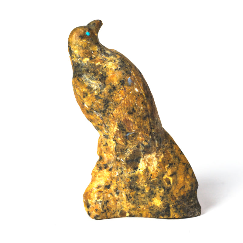 Derrick Kaamasee: Canary Bird