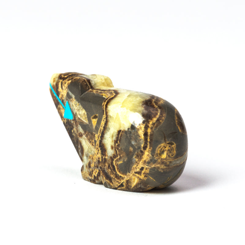 Clayton & Abby Panteah: Septarian, Bear
