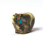 Clayton & Abby Panteah: Septarian, Bear