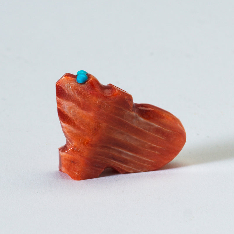 James Panteah: Spiny Oyster, Bear