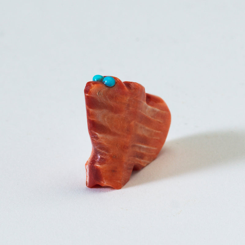 James Panteah: Spiny Oyster, Bear