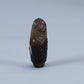Faye Quandelacy(d): Fossilized Ivory, Double Corn Maiden
