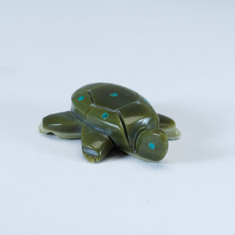 Daisy Rose Leonard: Serpentine Turtle