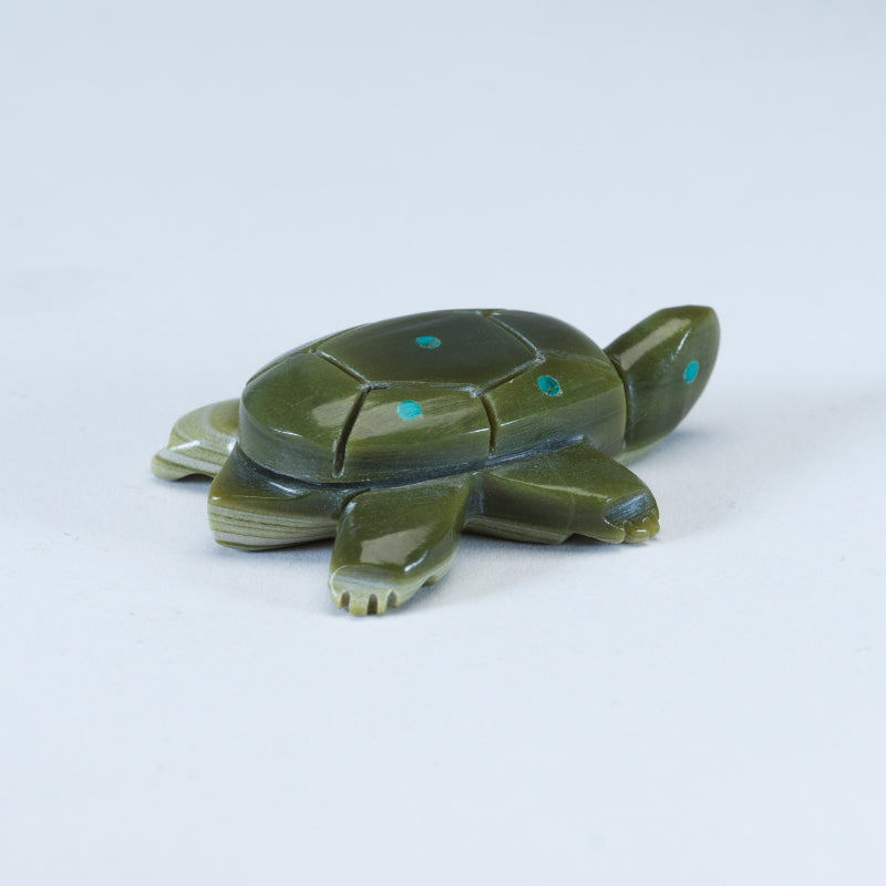 Daisy Rose Leonard: Serpentine Turtle