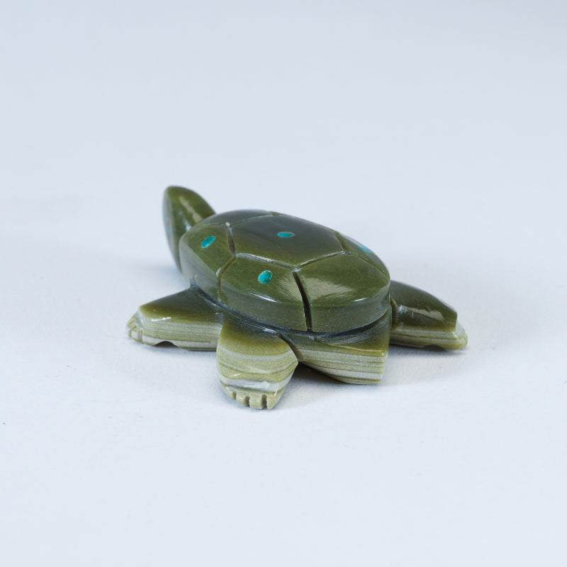 Daisy Rose Leonard: Serpentine Turtle
