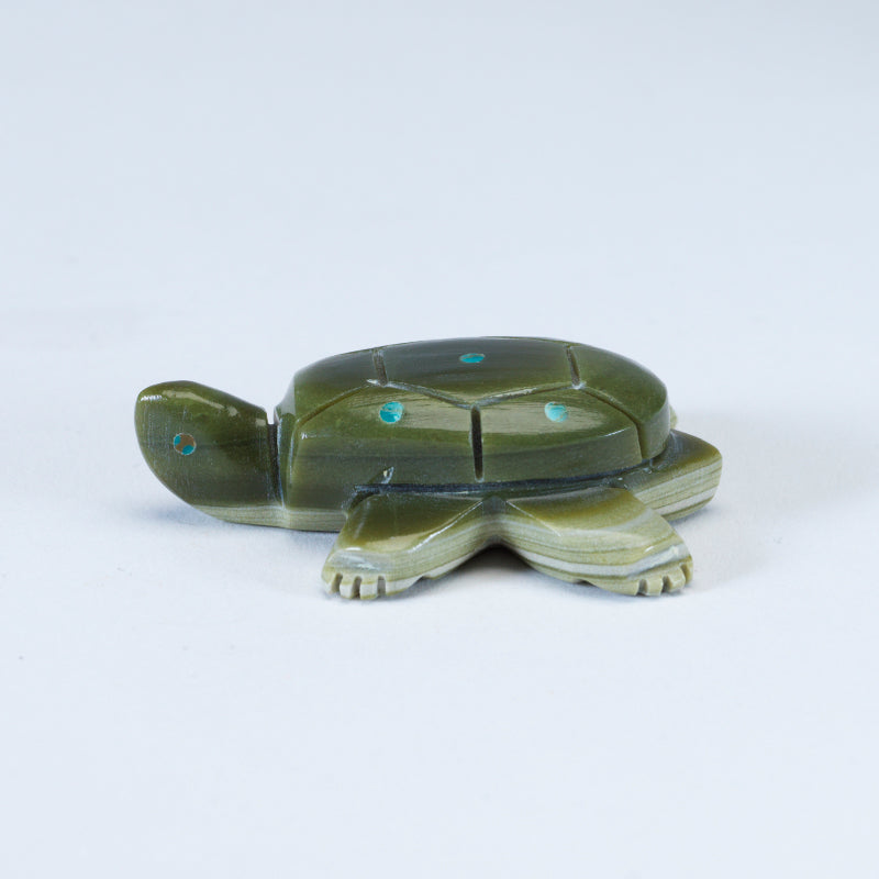 Daisy Rose Leonard: Serpentine Turtle