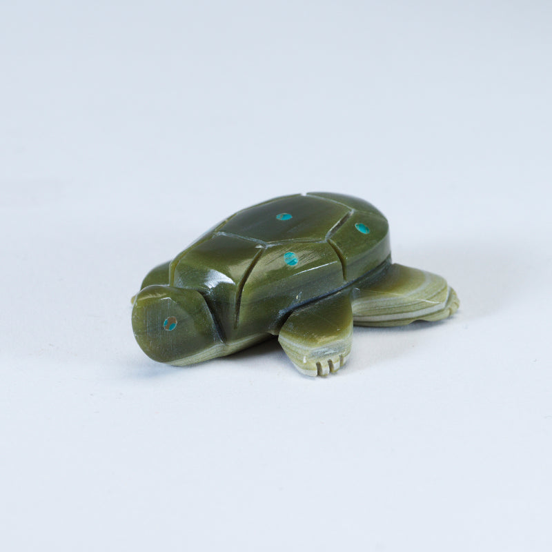 Daisy Rose Leonard: Serpentine Turtle