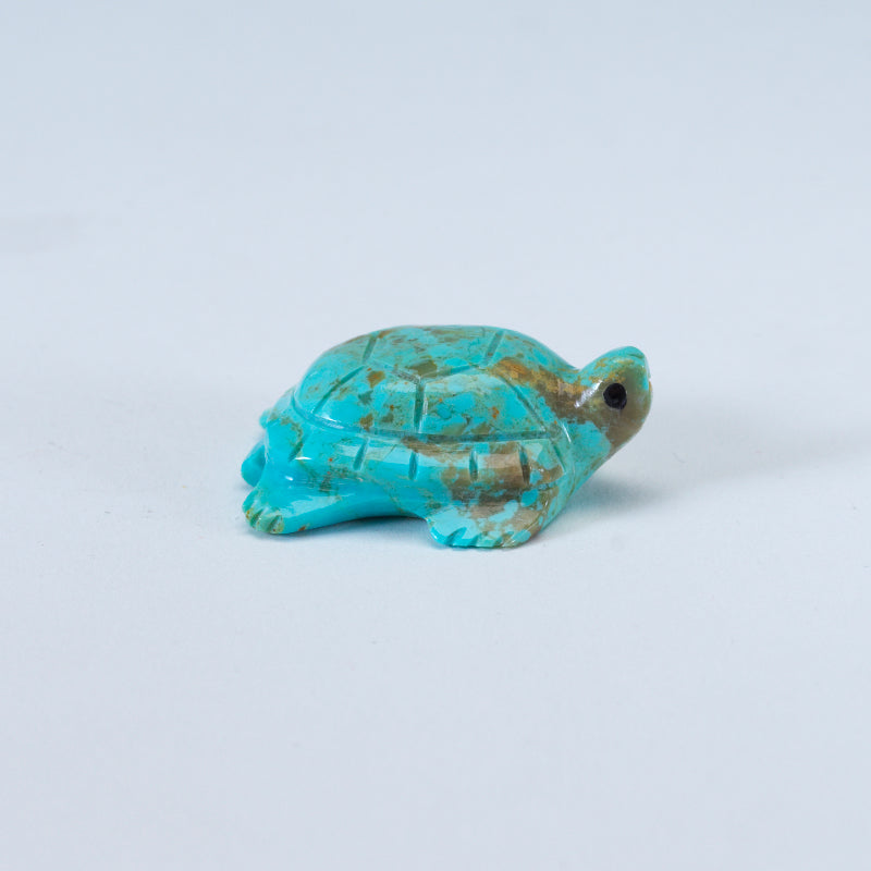Daisy Rose Leonard: Turquoise, Turtle