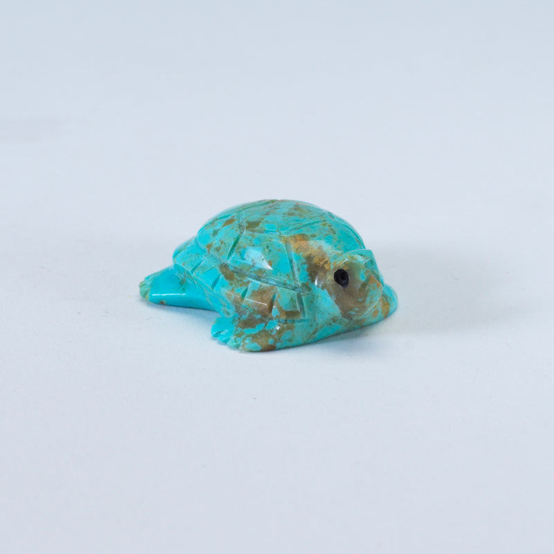 Daisy Rose Leonard: Turquoise, Turtle