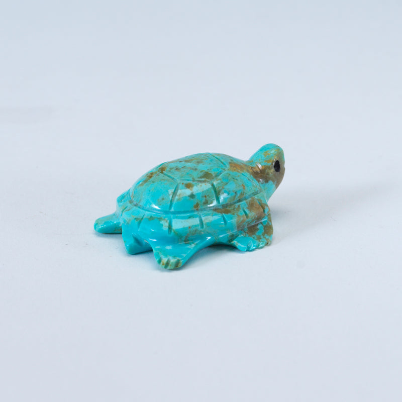 Daisy Rose Leonard: Turquoise, Turtle