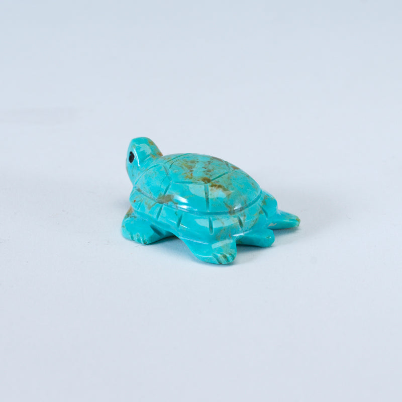 Daisy Rose Leonard: Turquoise, Turtle