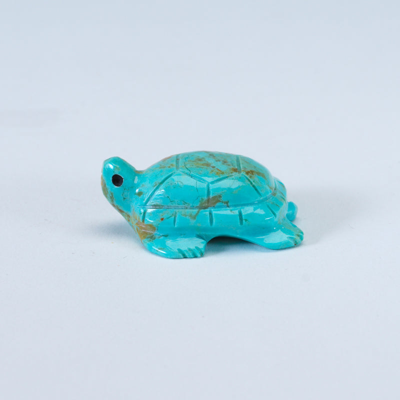 Daisy Rose Leonard: Turquoise, Turtle