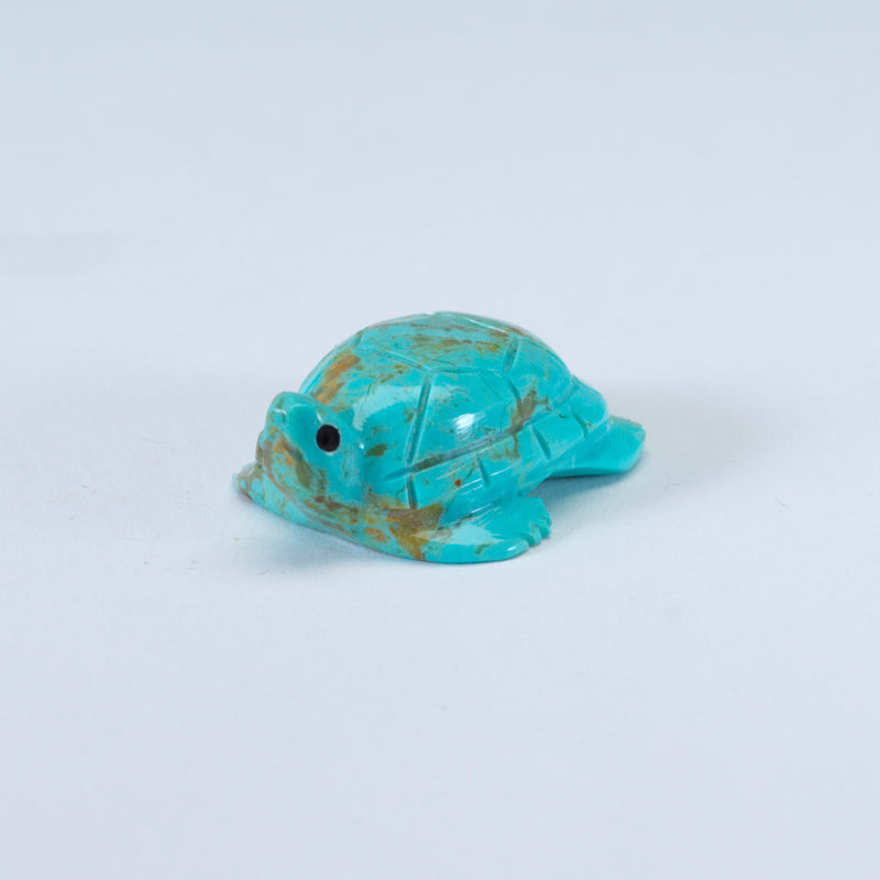 Daisy Rose Leonard: Turquoise, Turtle